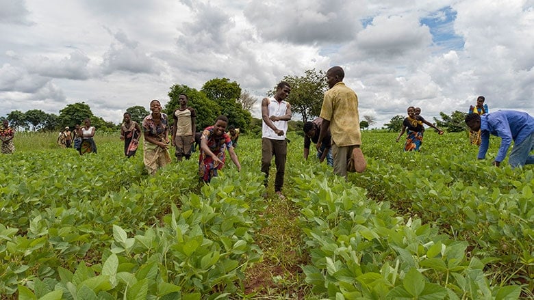 malawi3.jpg